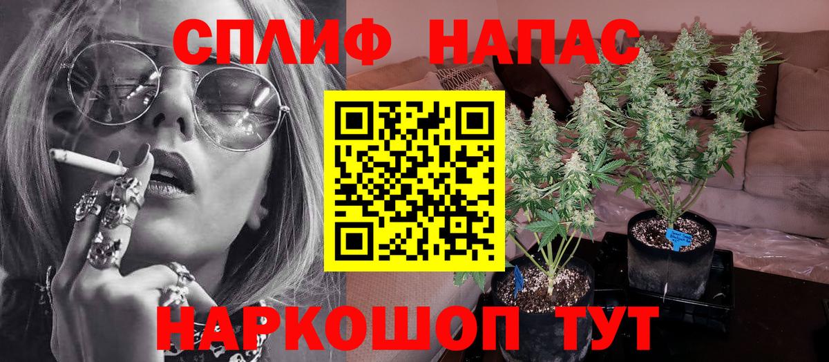 Бошки марихуана Bruce Banner Тверь